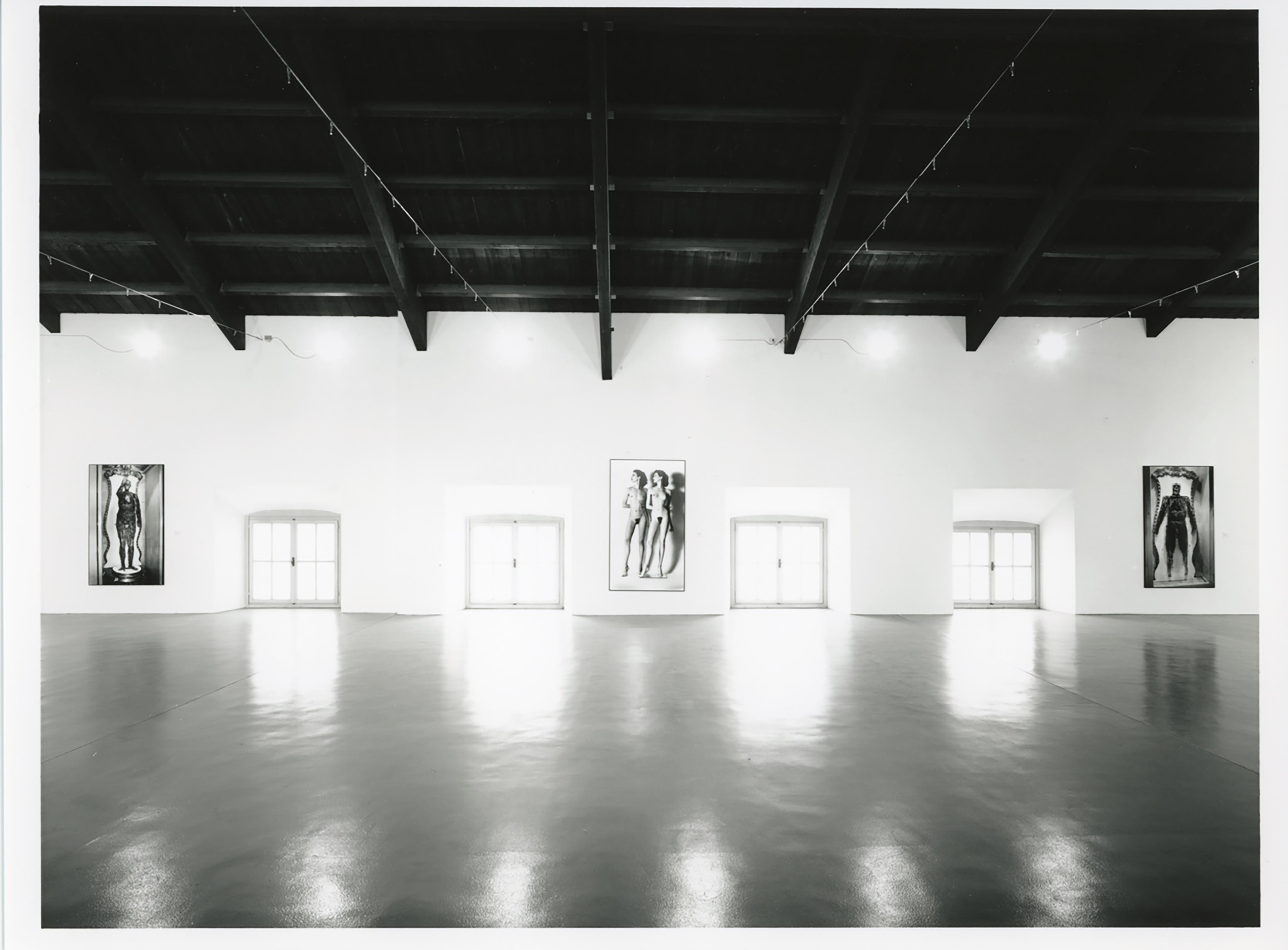u0022Helmut Newtonu0022, installation view